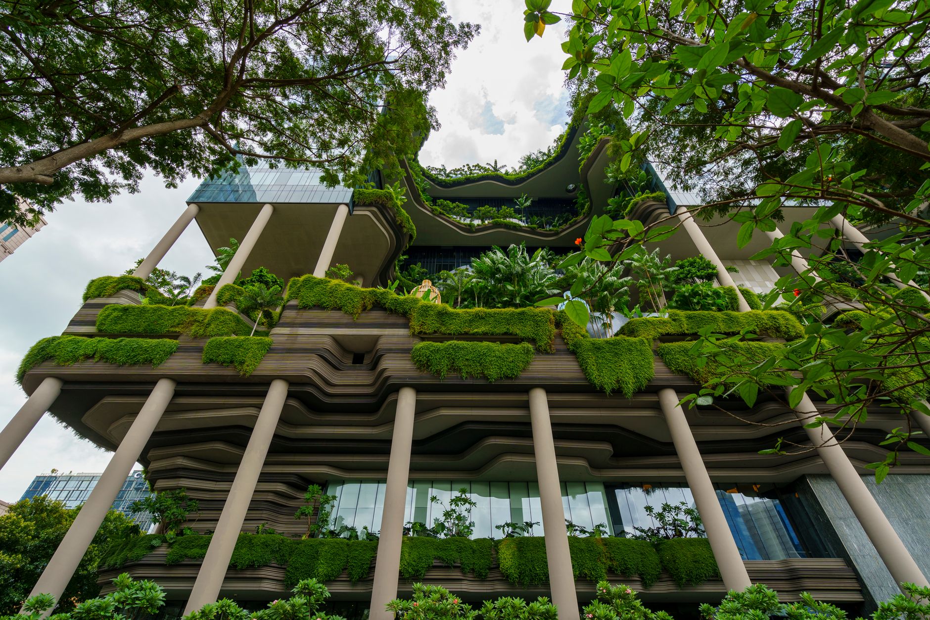 Terrasses végétalisées sur les niveaux d’un immeuble contemporain.